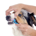 Toothbrush With Three Sided Dogs Rubber