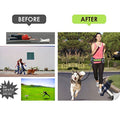 Elastic Leash Perfect Walking Training Dog