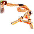 Nylon Vest Harness With Leash Glow In The Dark