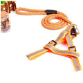 Nylon Vest Harness With Leash Glow In The Dark