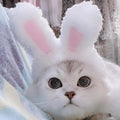Cosplay Rabbit Ears Cap Hat for Cat