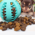Pet Toy Interactive Rubber Balls