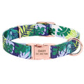 Dog Collar Personalized Custom Nylon