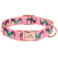 Dog Collar Personalized Custom Nylon