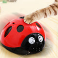 Catch Me If You Can' Super Fun Cat Toy