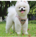 Soft Breathable Plaid Collar Dog Accessories