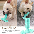 Toothbrushes Brushing Stick Pet