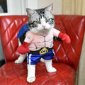 Dog Boxer Standing Costume Cosplay Clothes