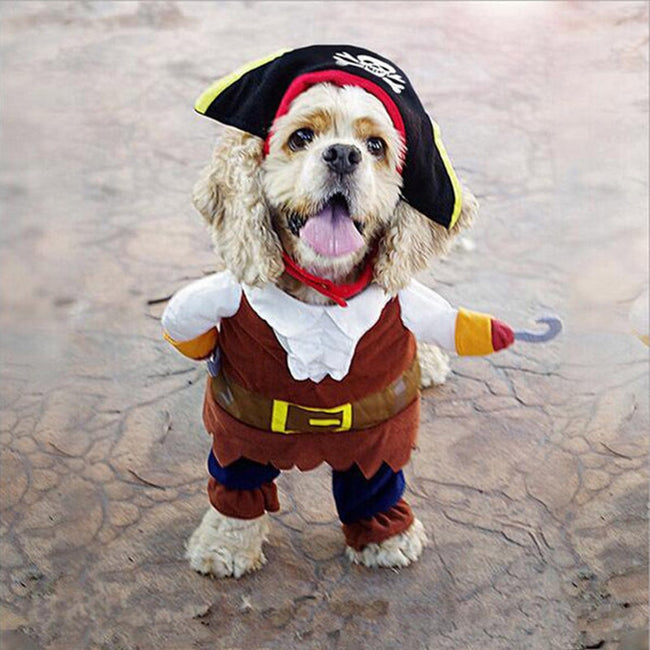 Cosplay Pirate Dog & Cat Halloween Party Cute