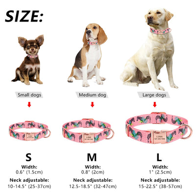 Dog Collar Personalized Custom Nylon