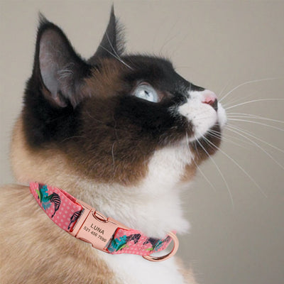 Dog Collar Personalized Custom Nylon