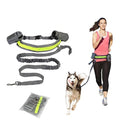 Elastic Leash Perfect Walking Training Dog