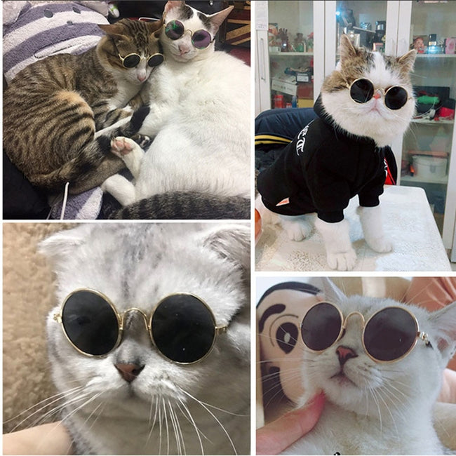 Cat Sunglasses Reflection Props Accessories
