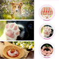 Paw Care Cream Moisturizing Protection Forefoot