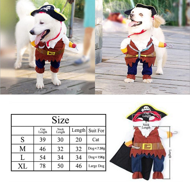 Cosplay Pirate Dog & Cat Halloween Party Cute