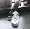 Kitten Drinking Fountain Food Dish Pet Bowl