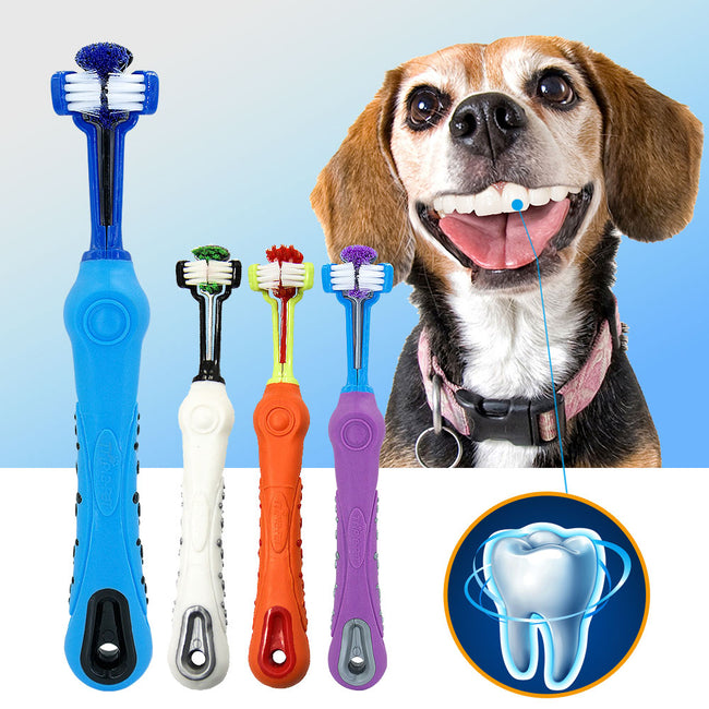 Toothbrush With Three Sided Dogs Rubber