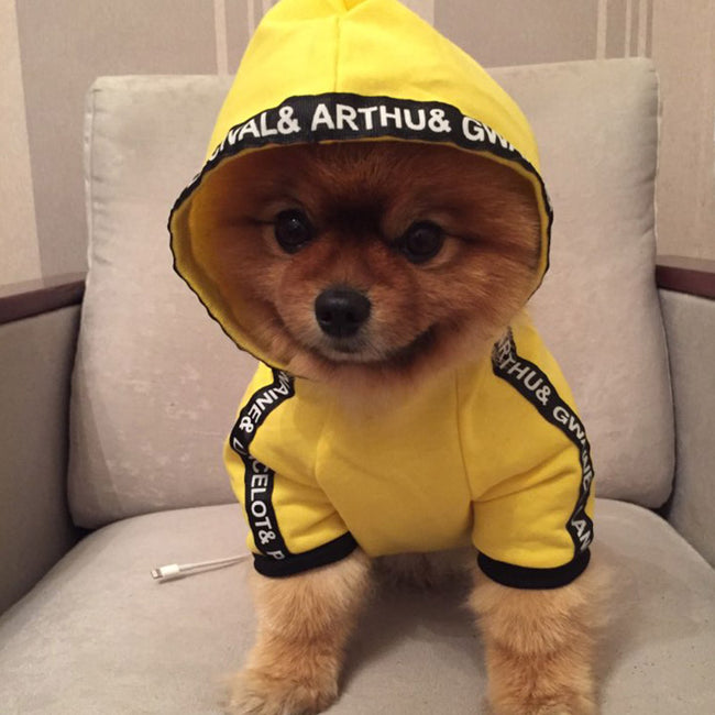 Dog Hoodie Chihuahua Puppy Outfit