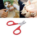 Cat Nails Scissors